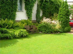 Landscaping East Hanover NJ